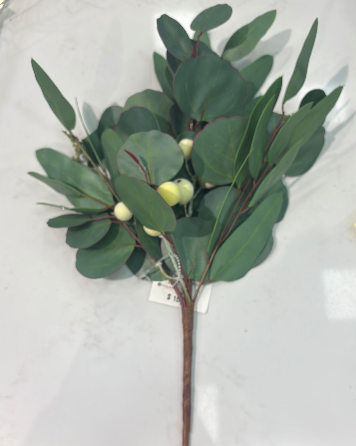 EUCALYPTUS SPRAY