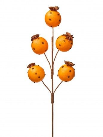 19.5" ORANGE W/CLOVE SPRAY X5 - NATURAL ORANGE