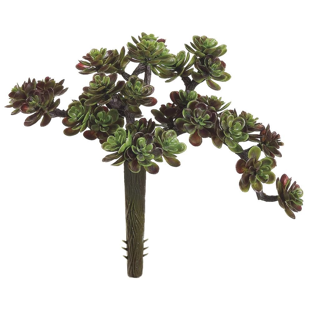 5" SEDUM PICK 30L GREEN/BLUE