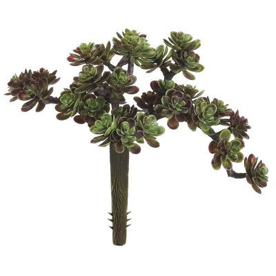 5" SEDUM PICK 30L GREEN/BLUE