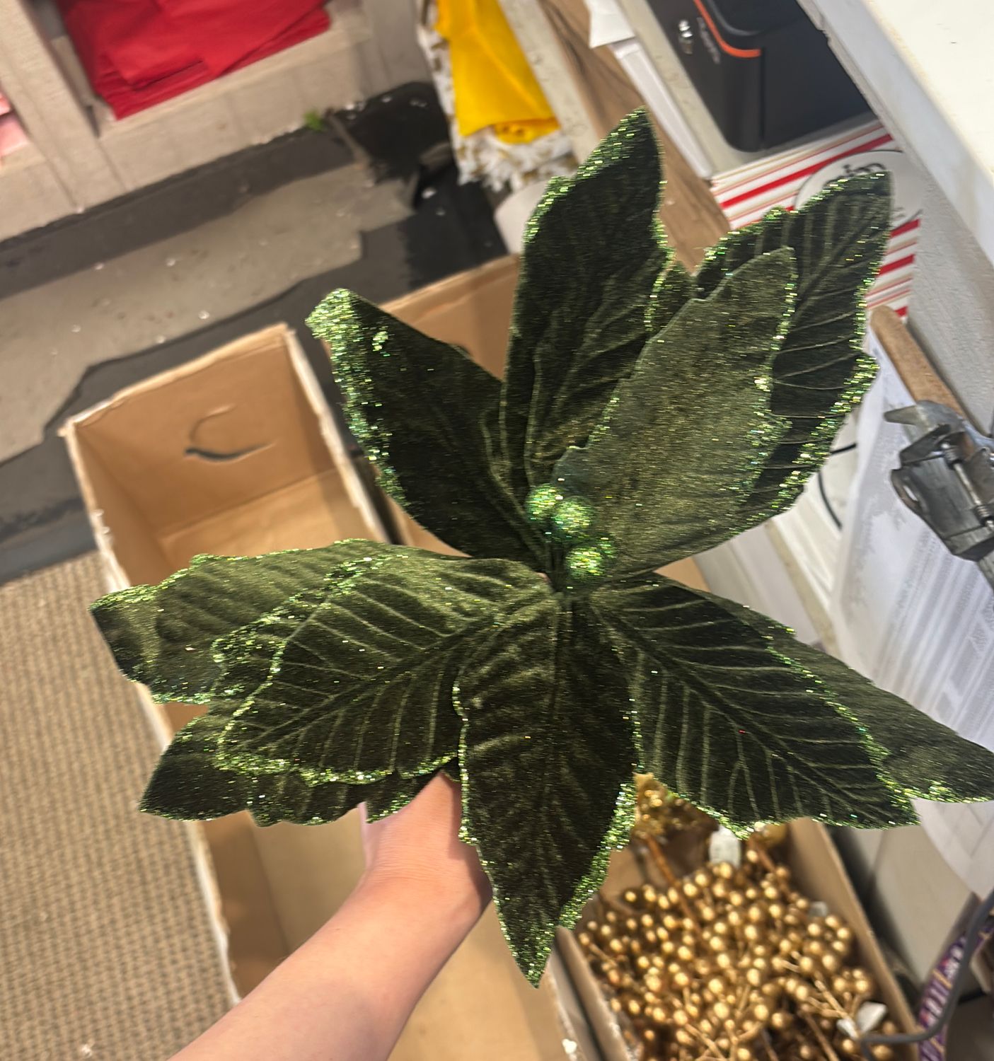 GREEN VELVET POINSETTIA