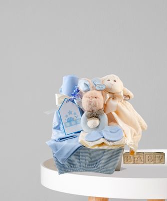 Baby Boy Basket