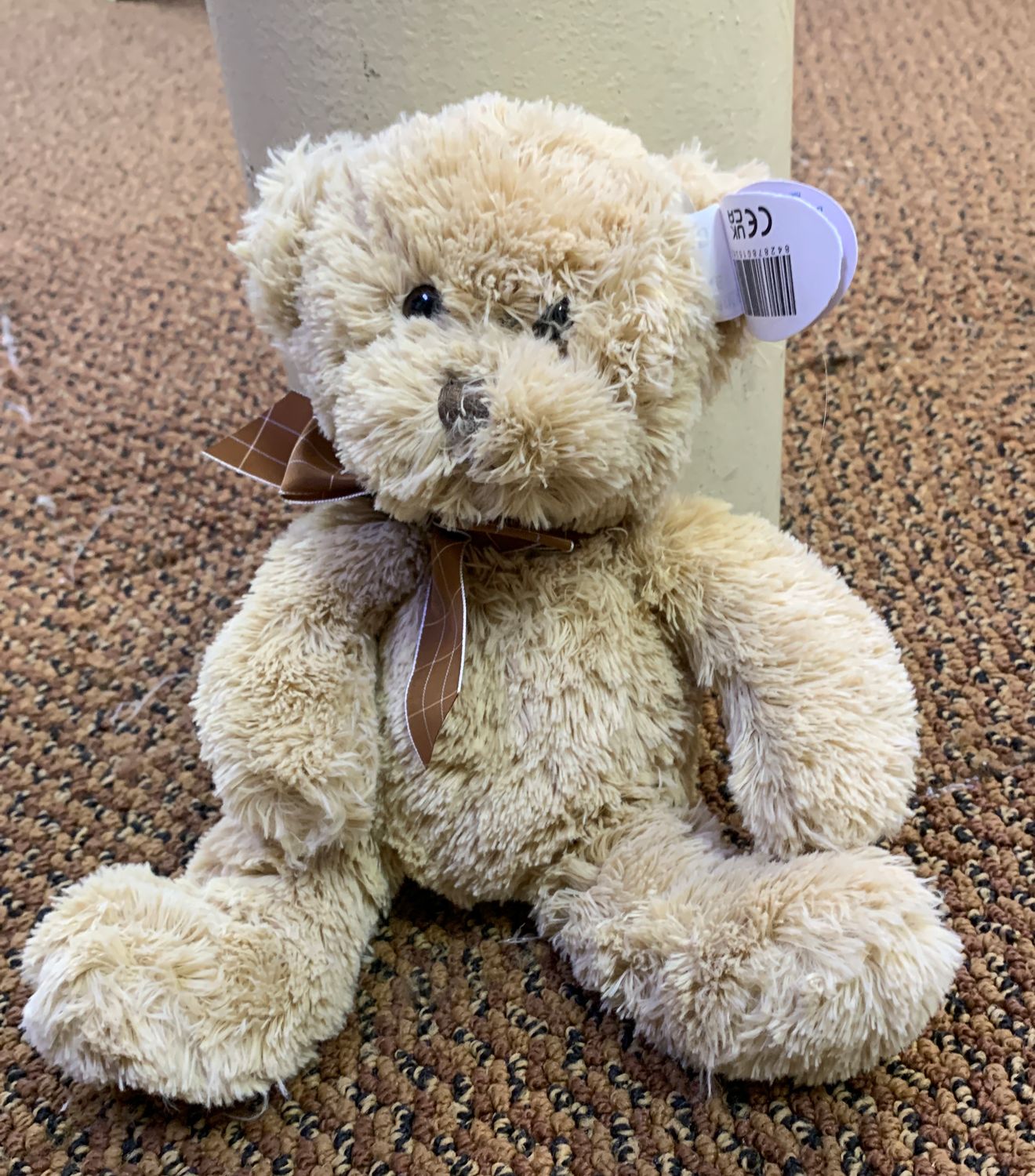 Small bear