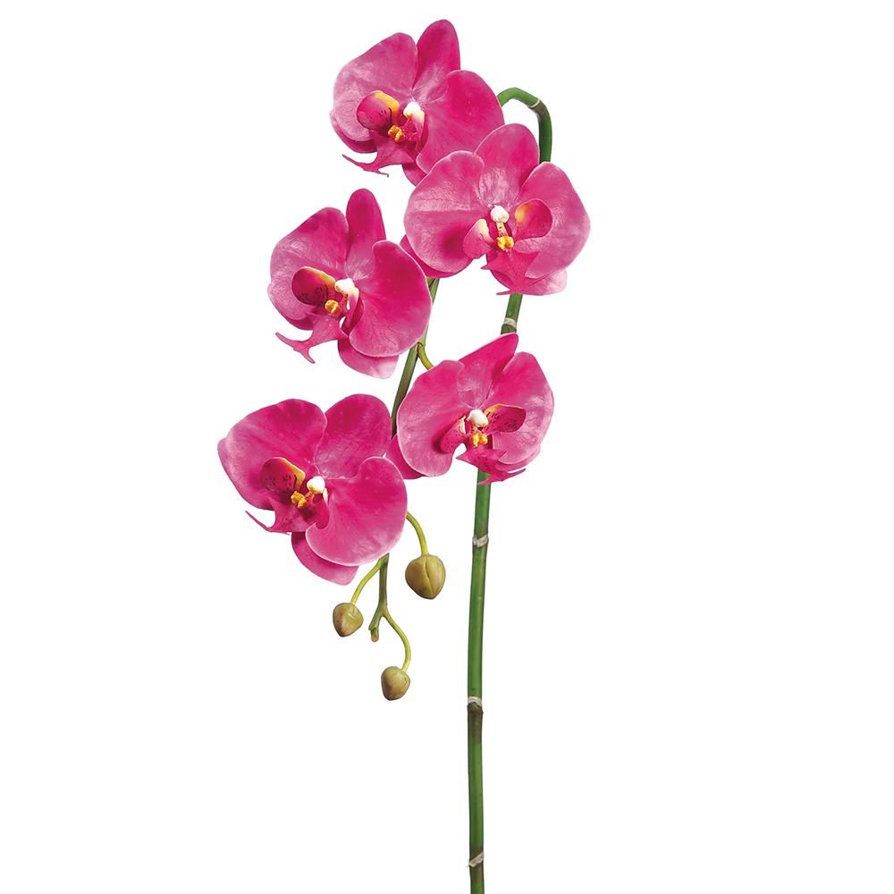 36" PHALAENOPSIS ORCHID  SPRAY