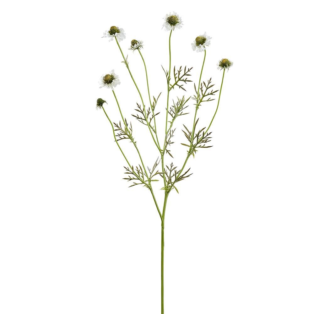 35" SCABIOSA SPRAY WHITE