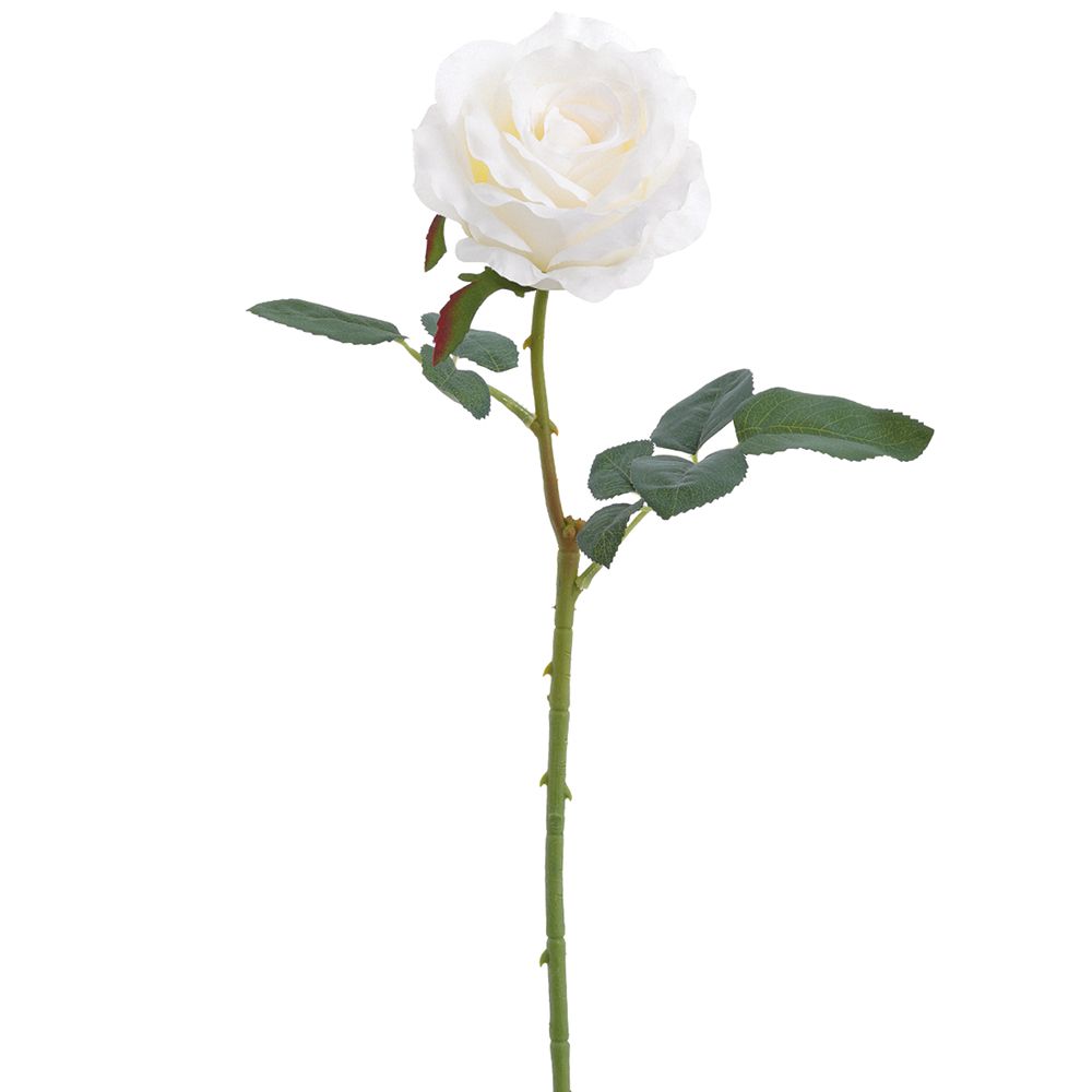 24.4"ROSE SPRAY WHITE