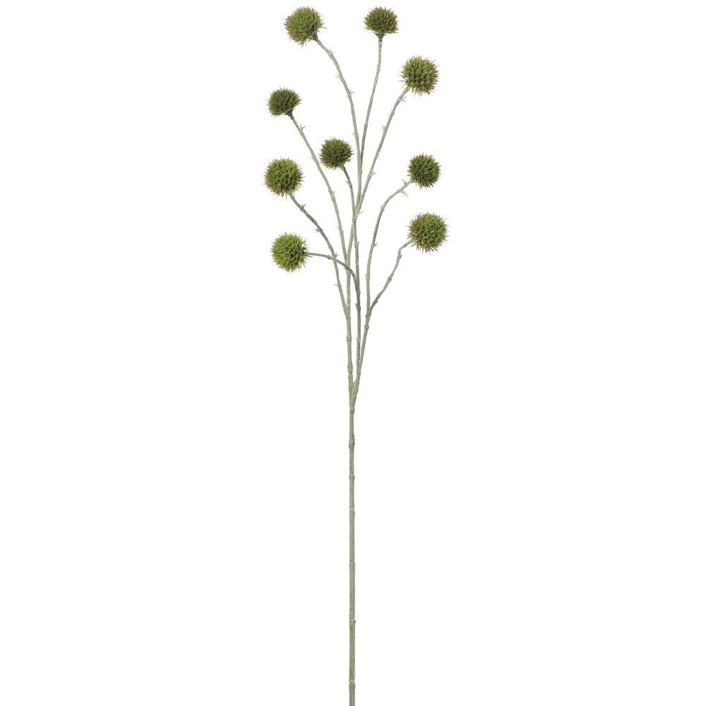36"GLOBE THISTLE SPRAY GR