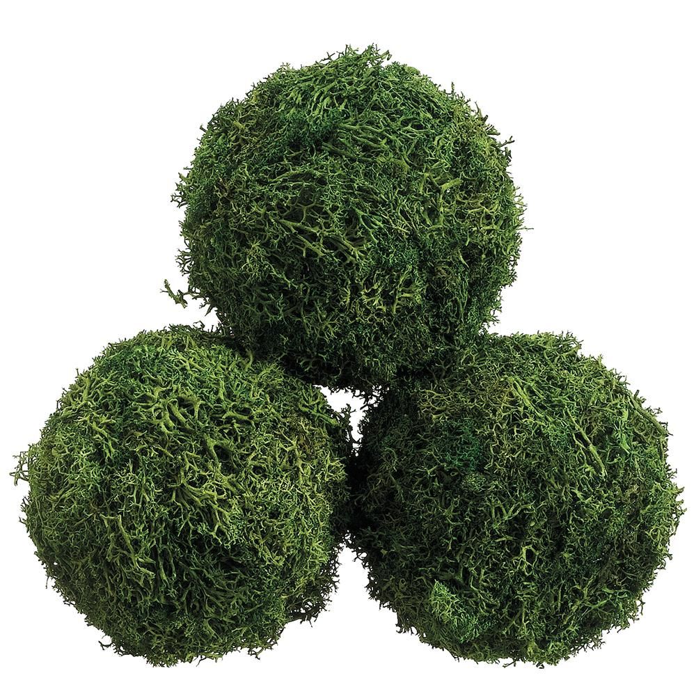 4.3" D PRE.SPHAG.MOSS BALL