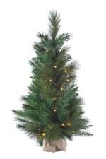 36" Anchorage Fir Mini Tree w/Burlap, Pre-Lit w/50 Clear Lights, Two-Tone Green, 110 Tips, 21" Diameter