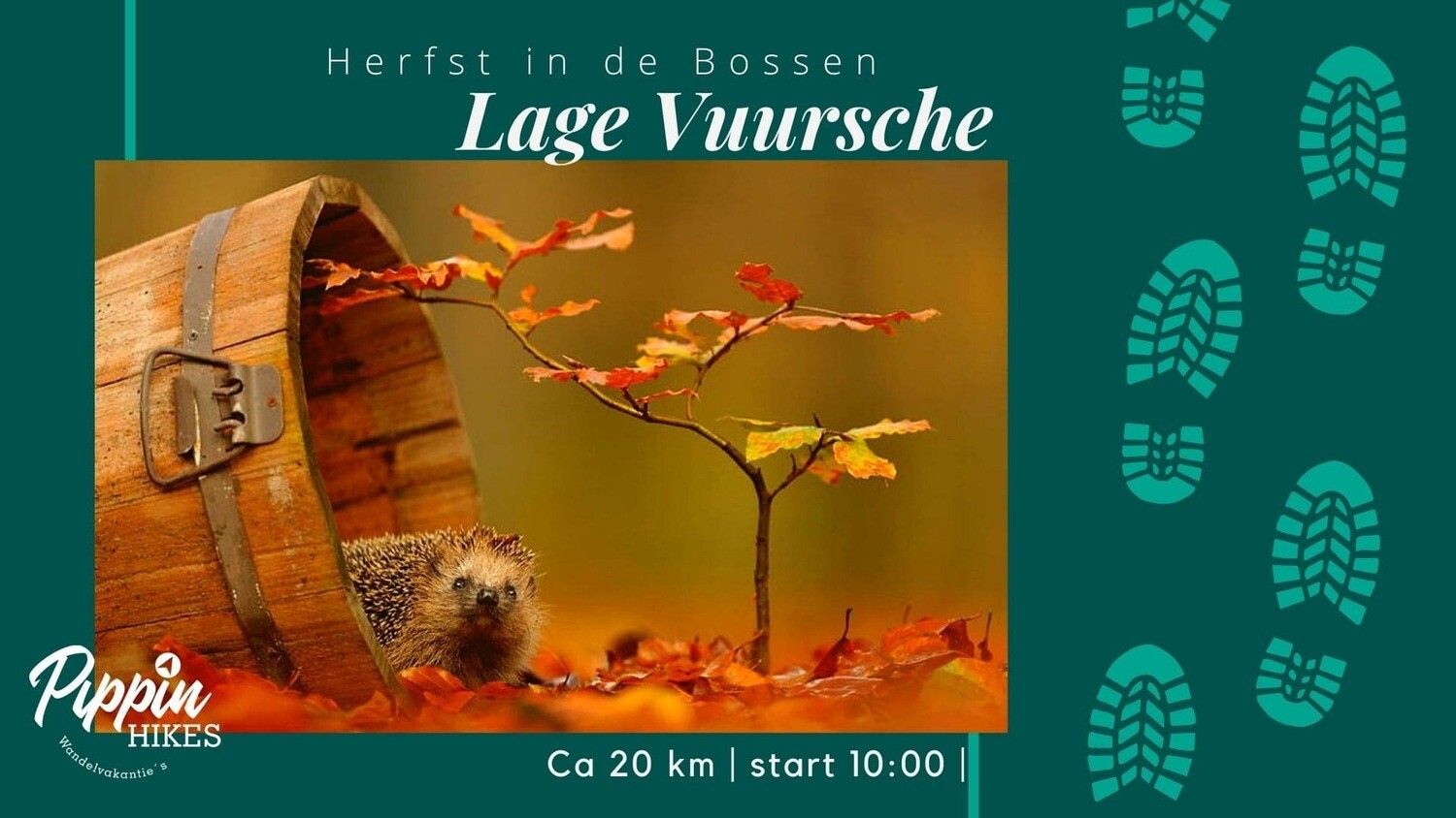 Zondag 8 november | Lage Vuursche | ca. 20 km Zondag 8 november | Lage Vuursche | ca. 20 km