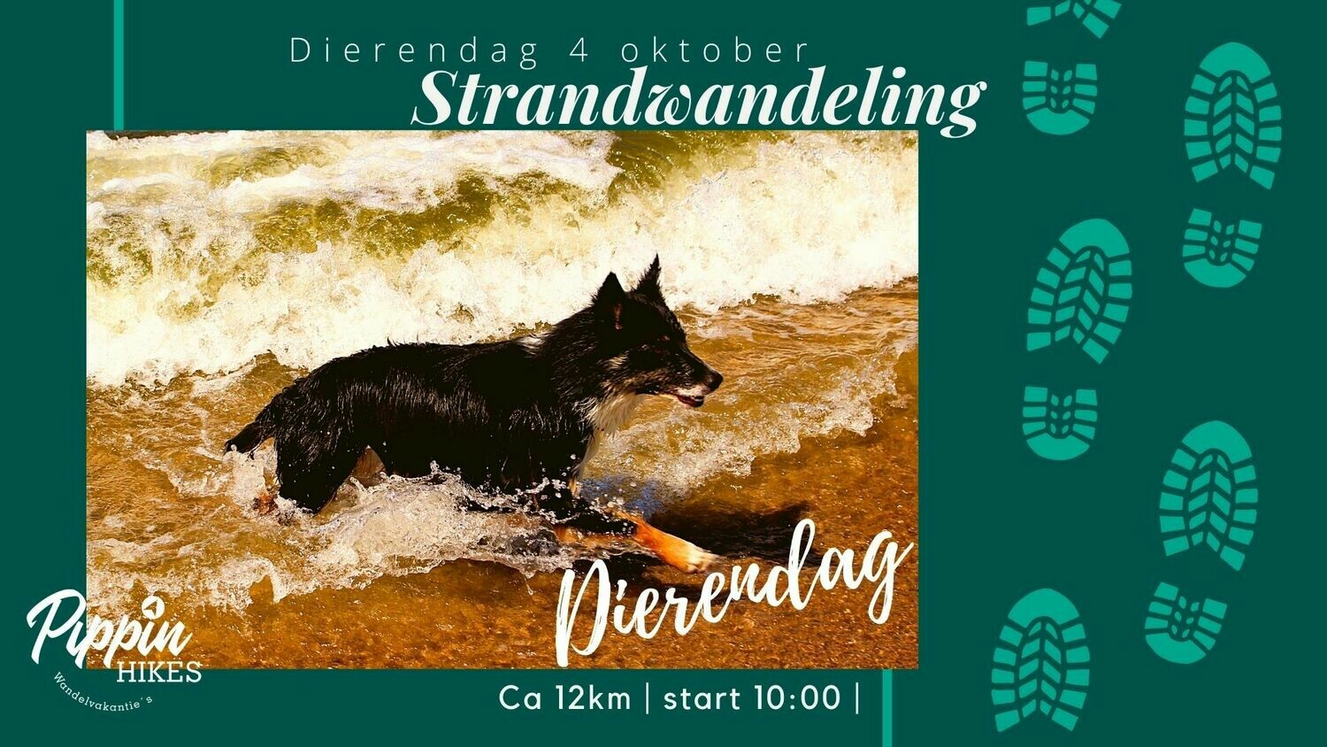 Zondag 4 oktober | Katwijk | ca. 12 km Zondag 4 oktober | Katwijk | ca. 12 km