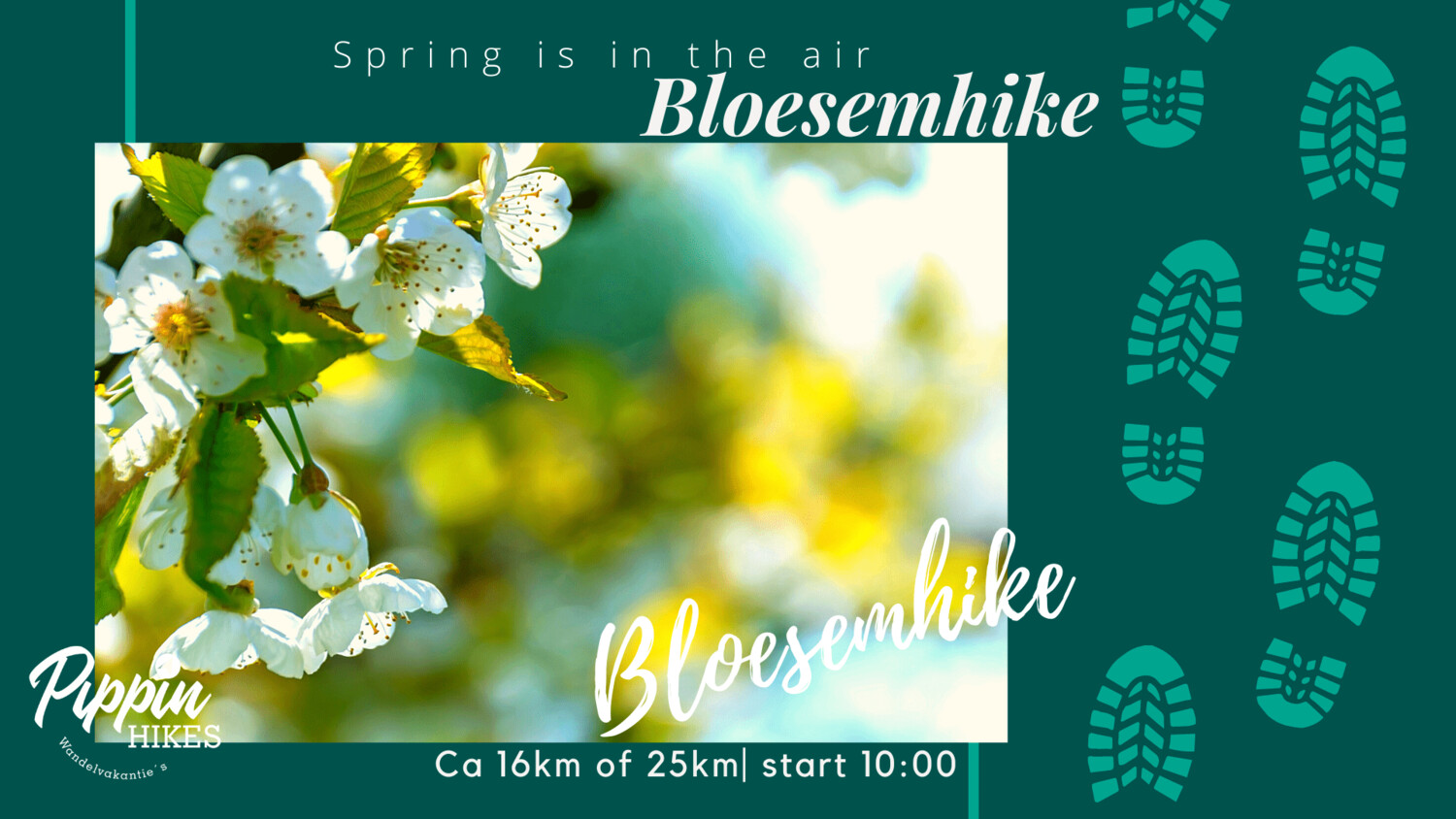 za 17 en zo 18 april | Bloesemhike | ca. 16km of ca 25km za 17 en zo 18 april | Bloesemhike | ca. 16km of ca 25km