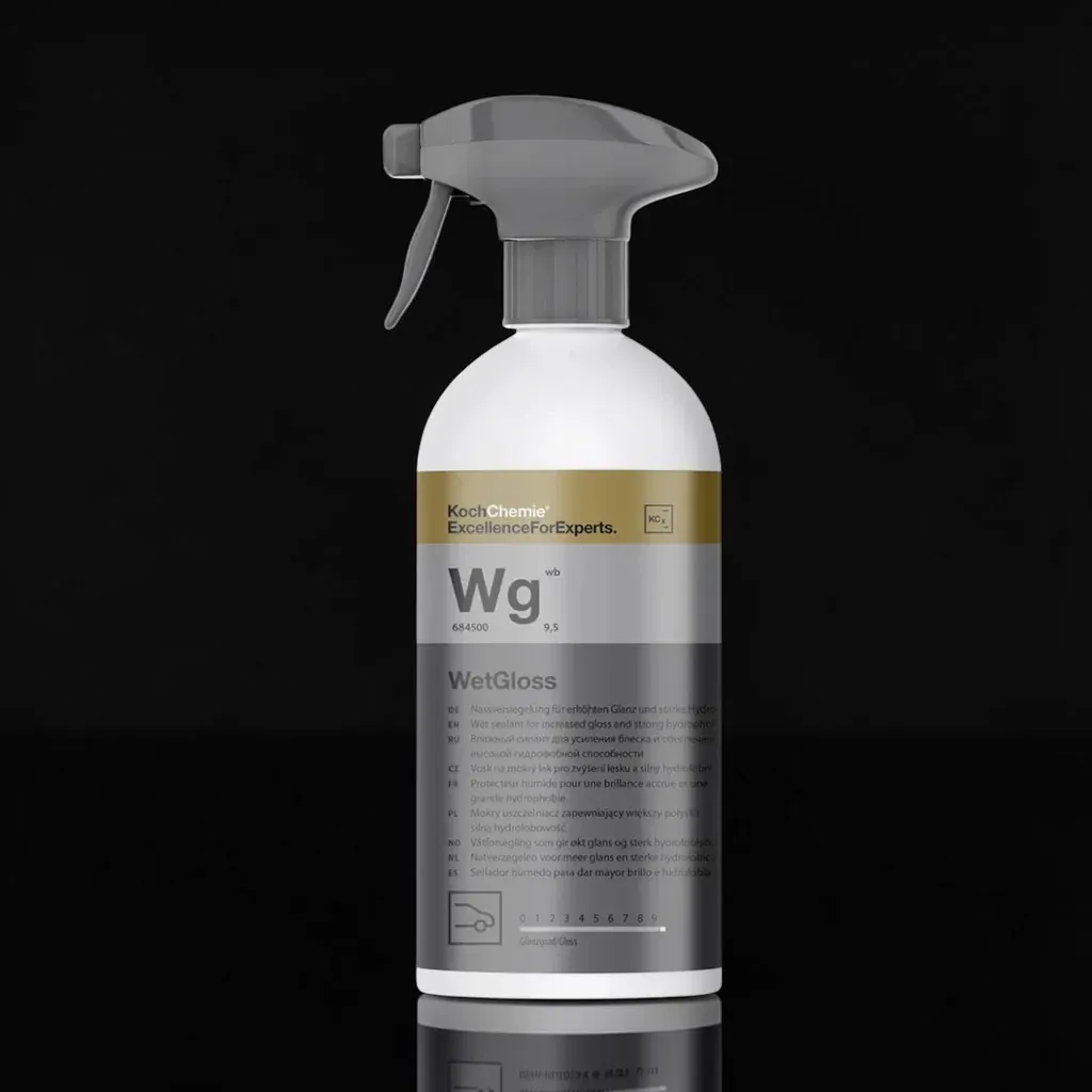 Wet Gloss, Size: 500ML