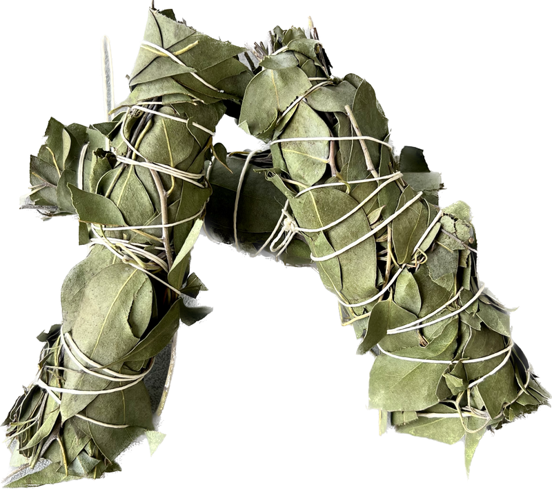 Smudge de Eucalyptus