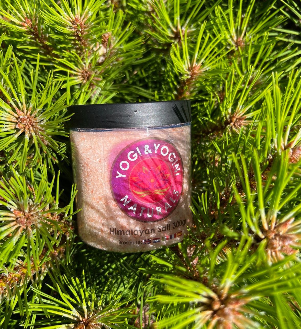 Sel Himalaya rose du Pakistan (Gros) 300g Sel Himalaya rose du Pakistan (Gros) 300g