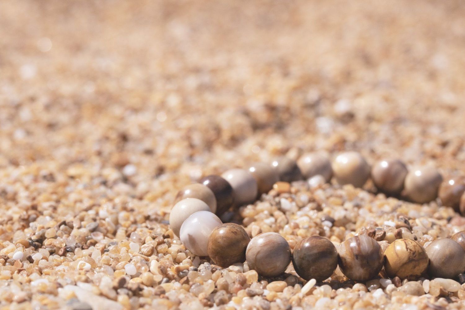 Bracelet Bois fossilisé Bracelet Bois fossilisé