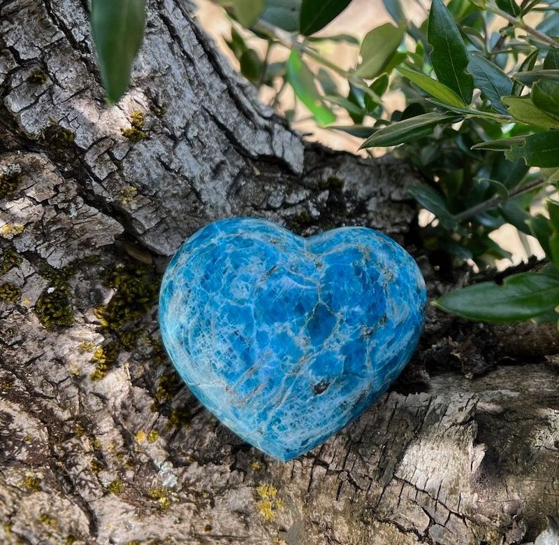 Coeur Apatite bleu AA à l’unité 6cm Coeur Apatite bleu AA à l’unité 6cm