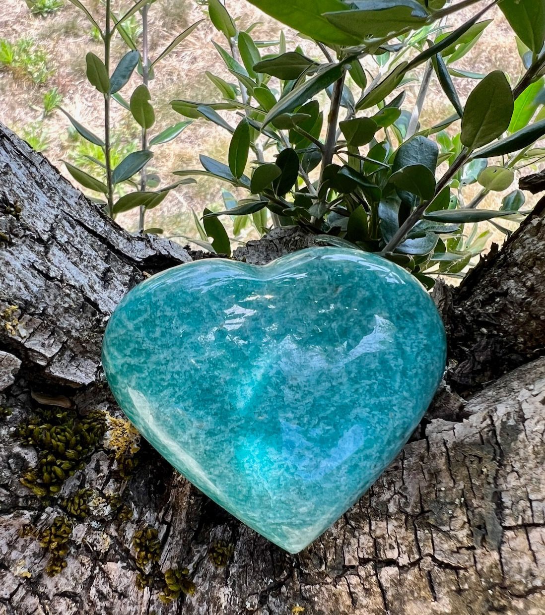 Coeur Amazonite A 6cm à l’unité