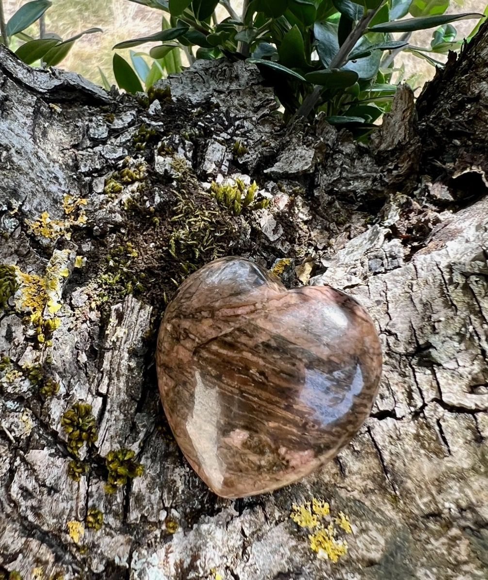 Coeur Rhodonite Marron à l’unité Coeur Rhodonite Marron à l’unité
