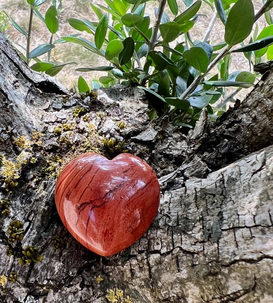Coeur Jaspe rouge à l’unité
