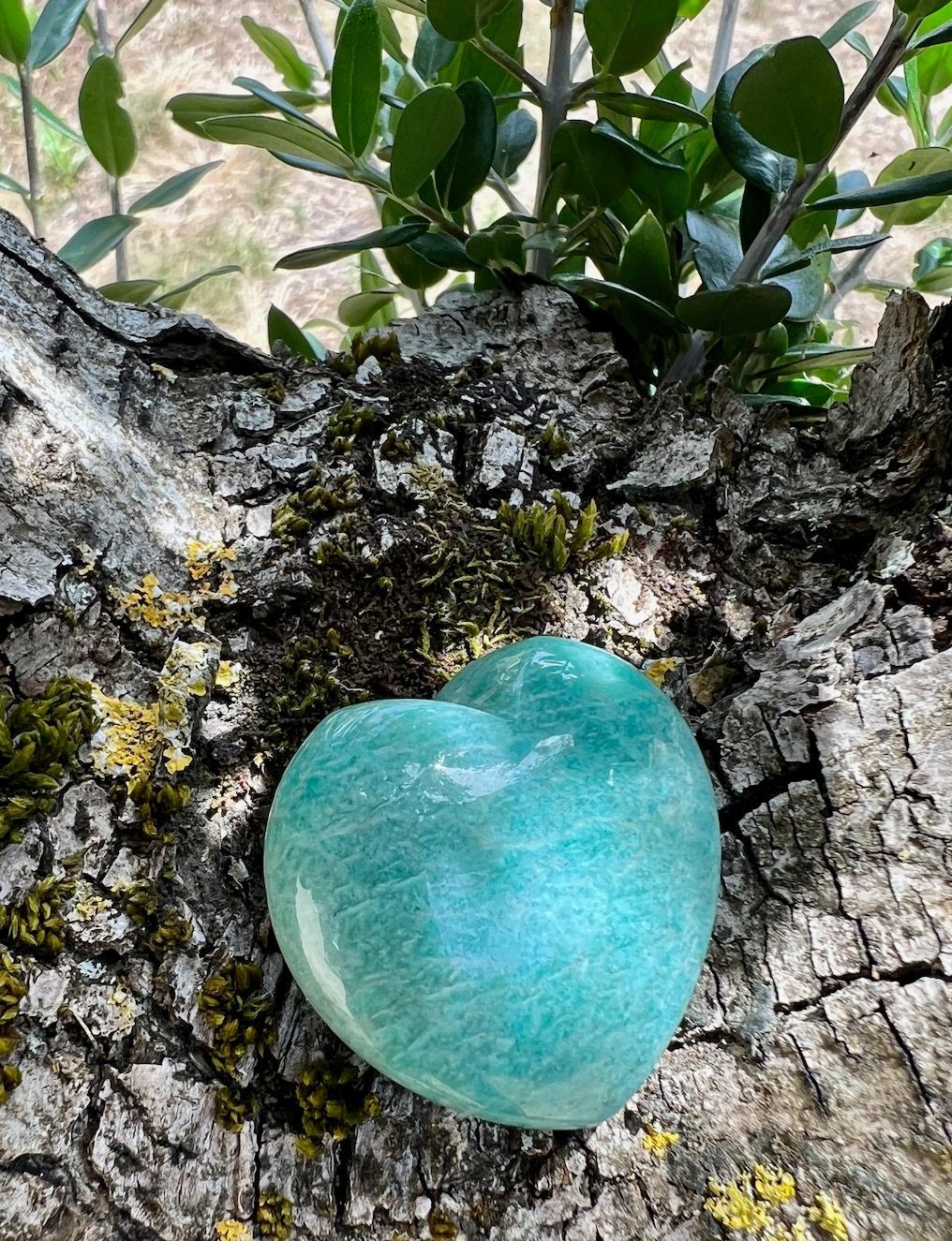 Coeur Amazonite à l’unité Coeur Amazonite à l’unité