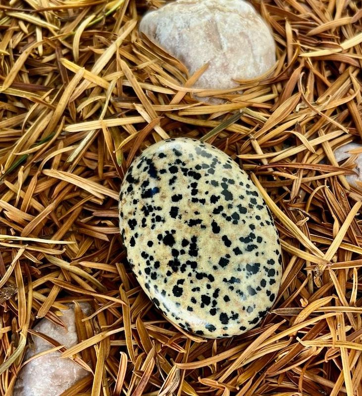 Galet Roulé XL Jaspe Dalmatien Galet Roulé XL Jaspe Dalmatien