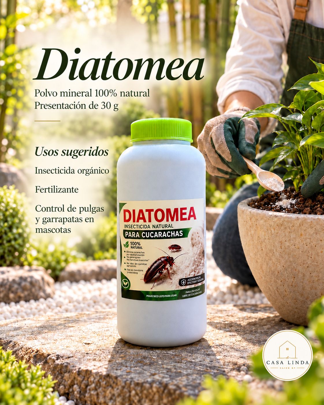 TIERRA DEATOMEA