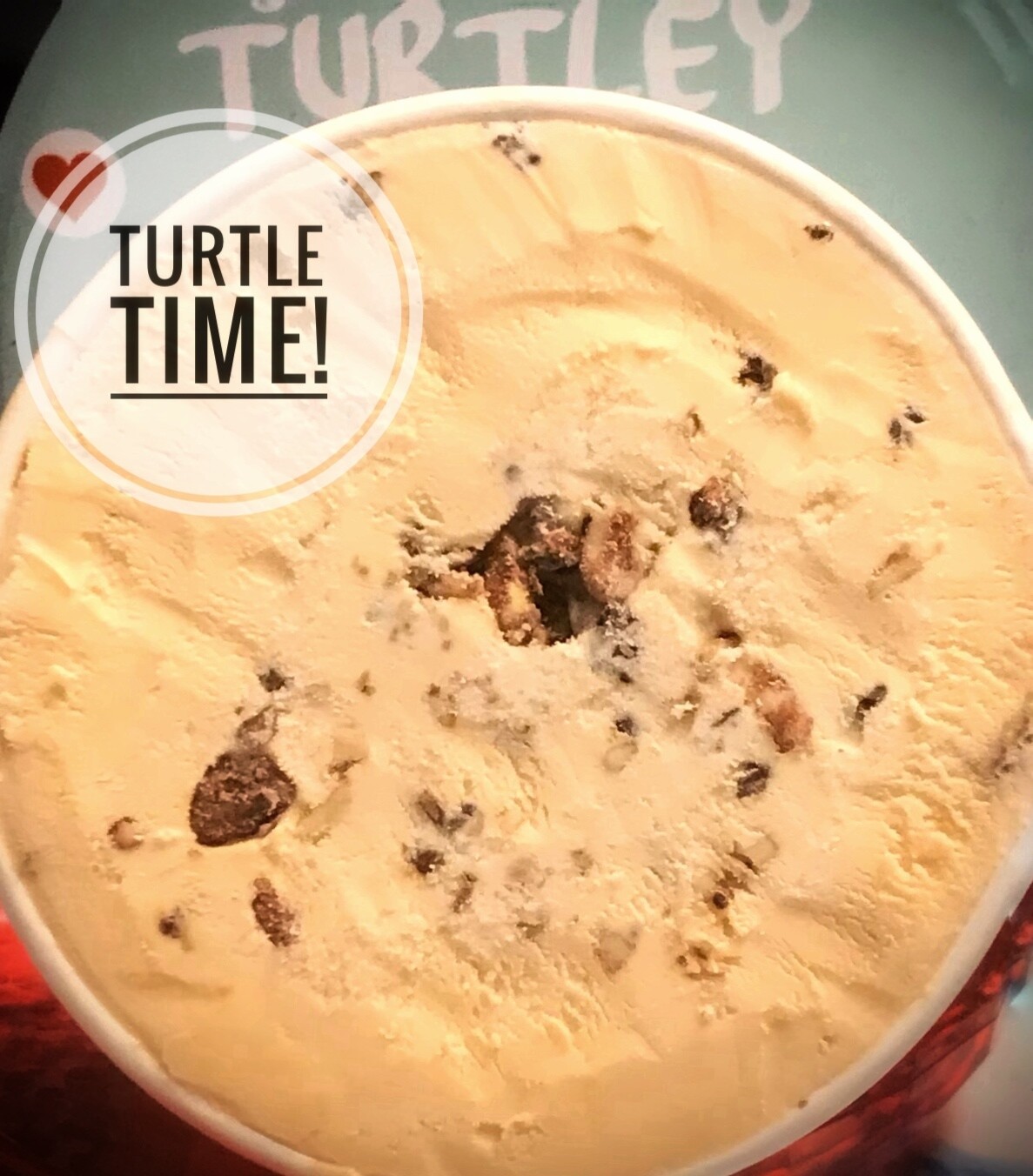 Turtle Time! Pint