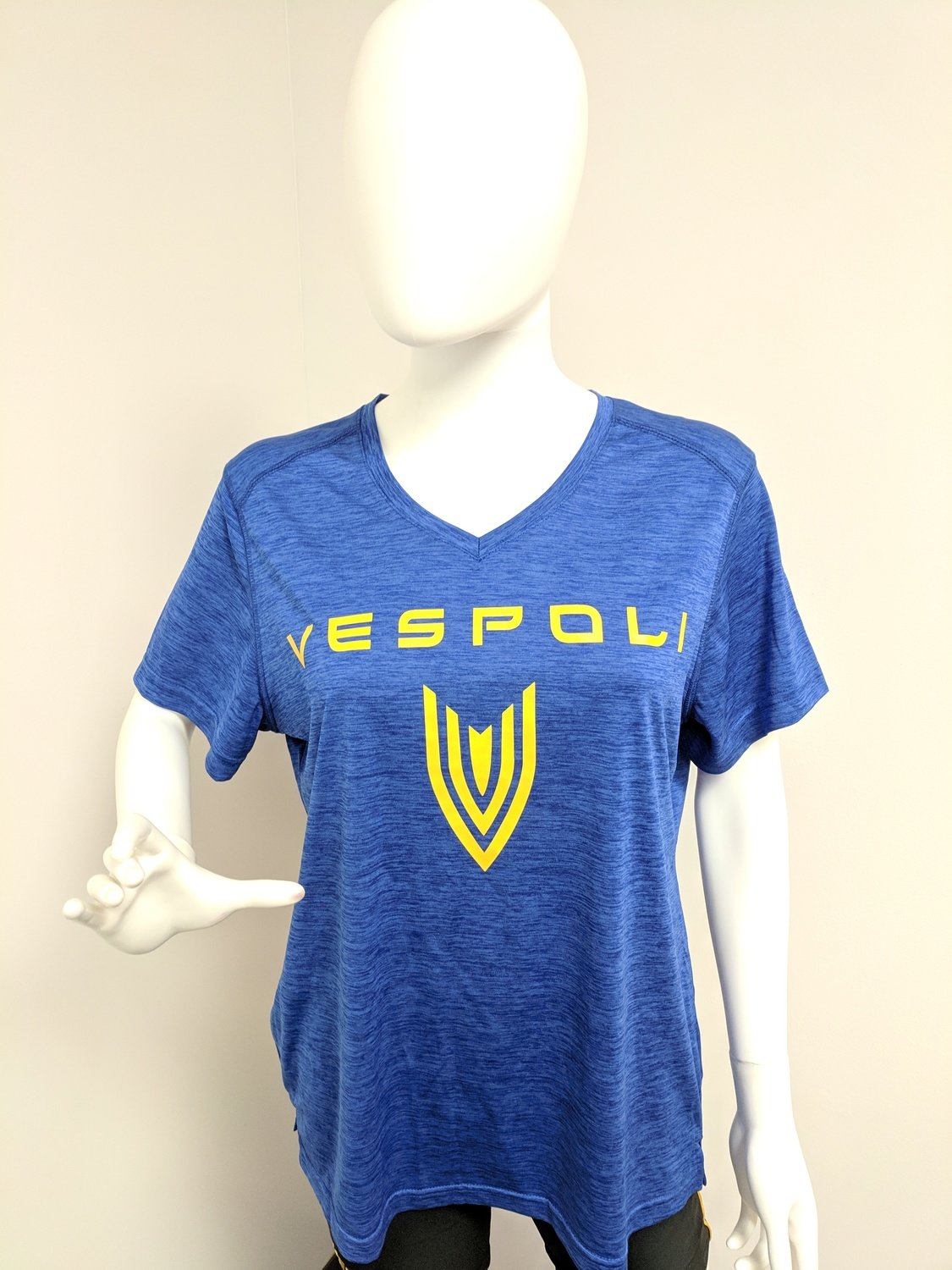 Ladies V-Neck Performance T