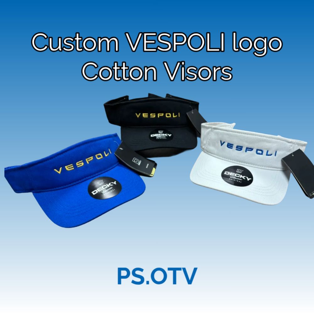 Logo Visor
