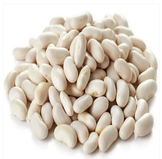 Haricot blanc
