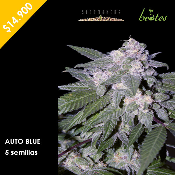 AUTO BLUE SEEDMARKERS