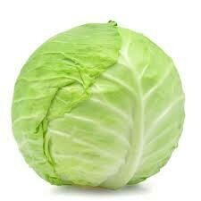 Organic Cabbage - Green - BC