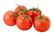 Tomatoes - Vine