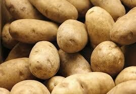Potatoes - Russet - US/BC - ea