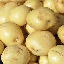 Potatoes - Yukon Gold - BC - ea