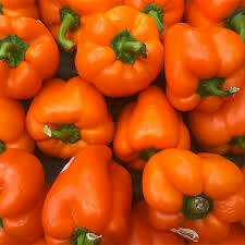 Bell Peppers - Orange