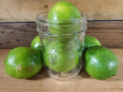 Fresh squeezed lime juice 250ml - includes $1.50 jar deposit