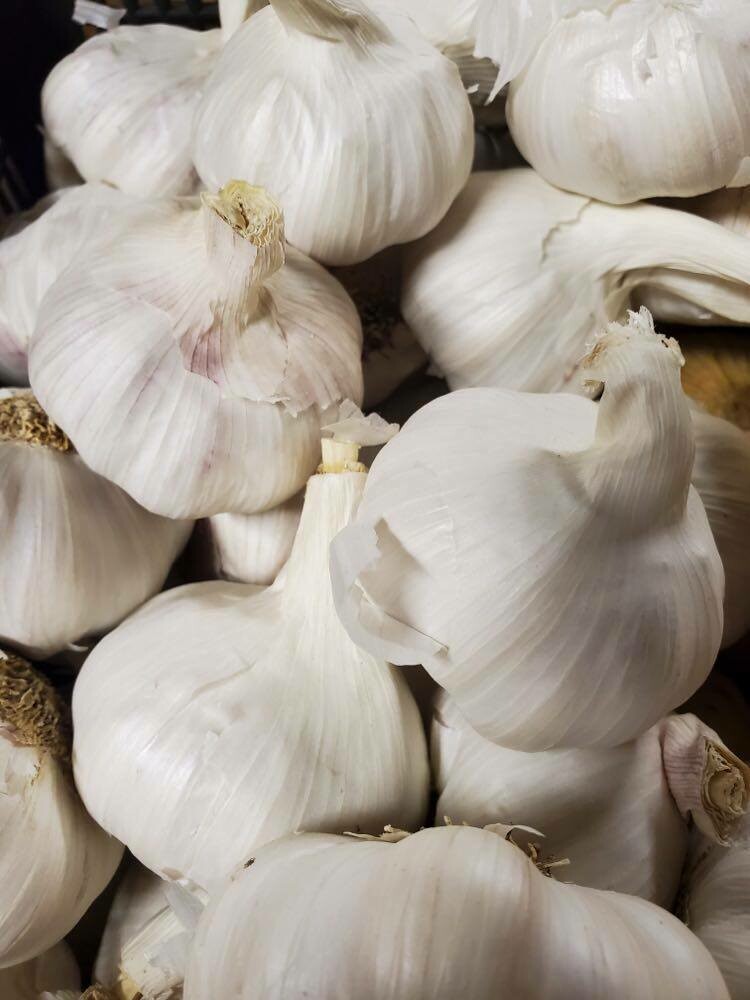 Garlic - Jumbo - Cali