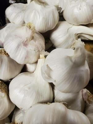 Garlic - Jumbo - Cali