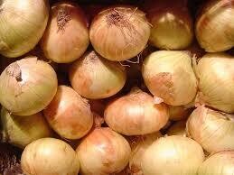 Onions Sweet Spanish - US