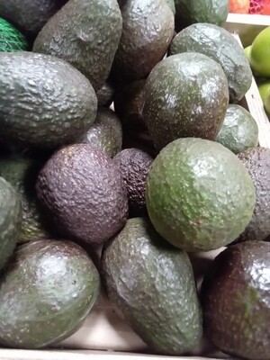 Avocados each - MX