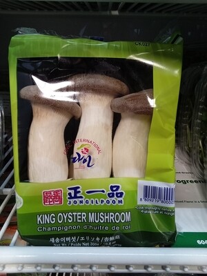 King Oyster Mushroom Korea