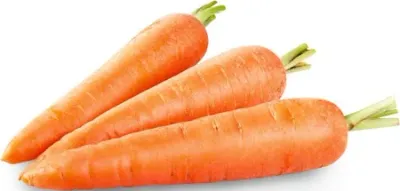 Jumbo Carrots