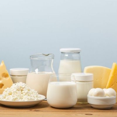 Dairy : Cheese, Butter, Cream &amp; Eggs