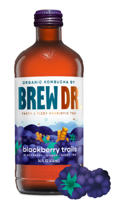 Brew Dr. Organic Kombucha - blackberry trails