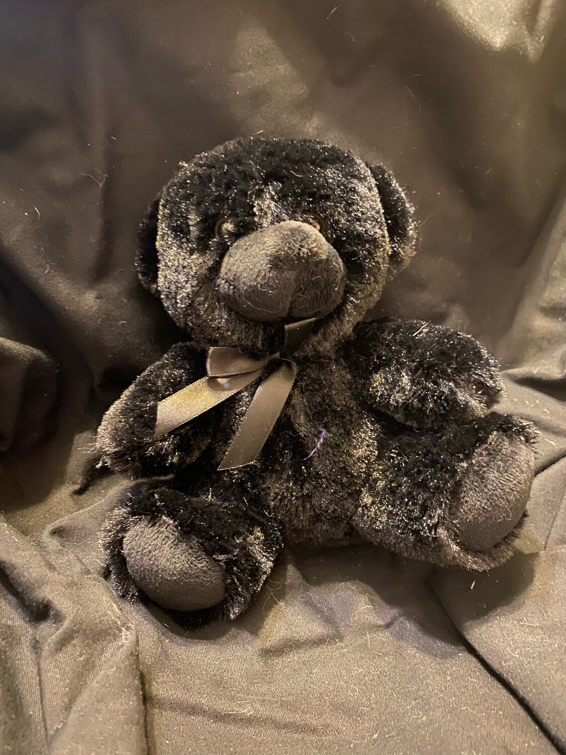Small Dressed Bear Black