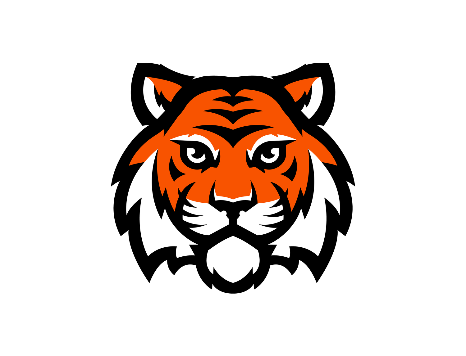 26-27 Tiger Bundle