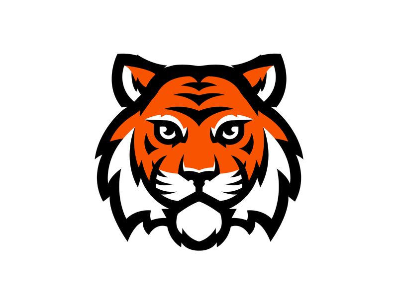 26-27 Tiger Bundle