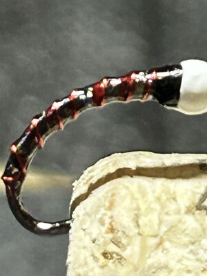 Barbless Tungsten Bead Head Chironomid Fly Fishing Flies